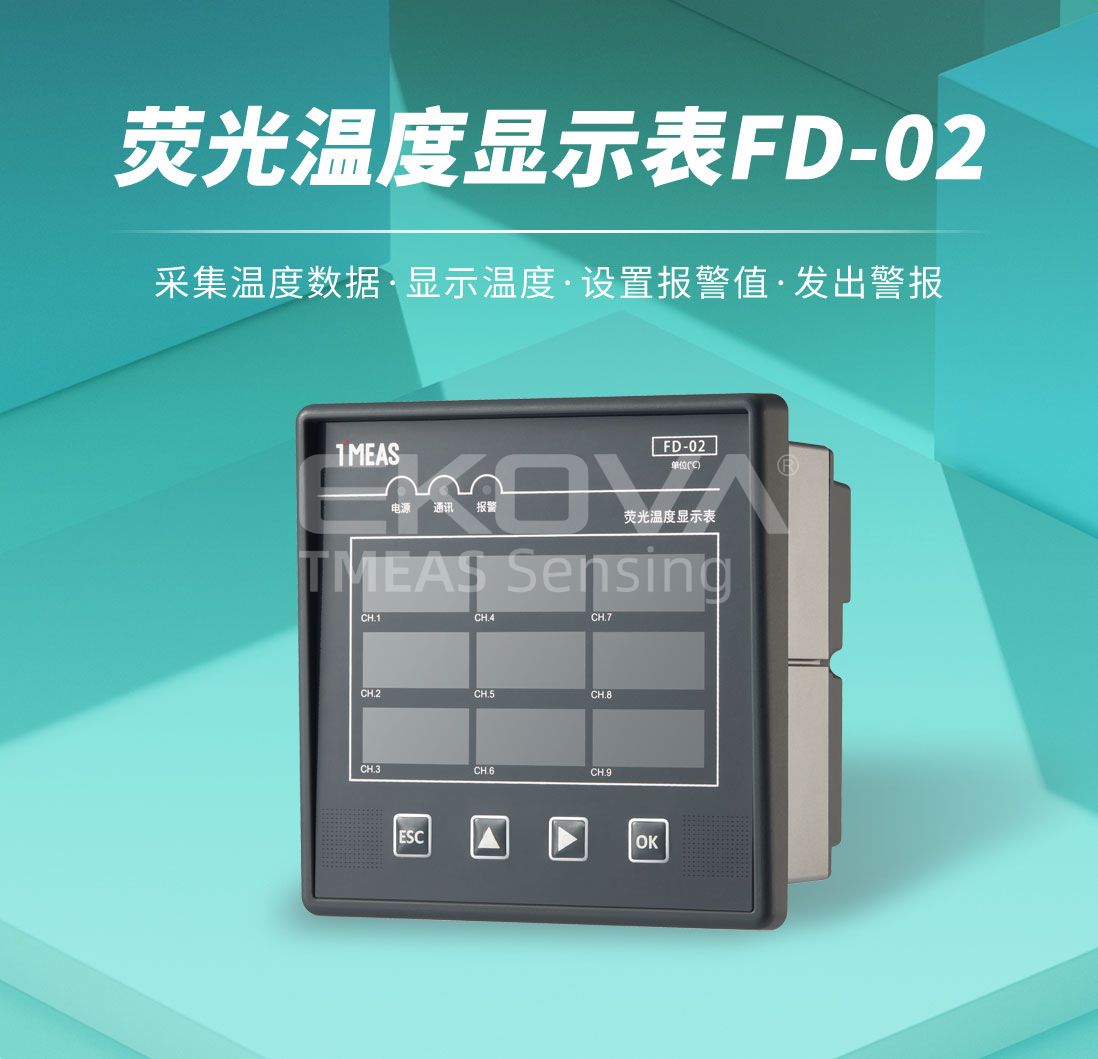 熒光溫度顯示表FD-02
